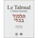 Talmud Adin Steinsaltz "Pessahim "